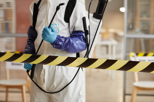 Professional Sewage Cleanup technician working in Oak Park, IL